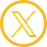 x icon