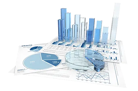 Infographics & Data Visuals